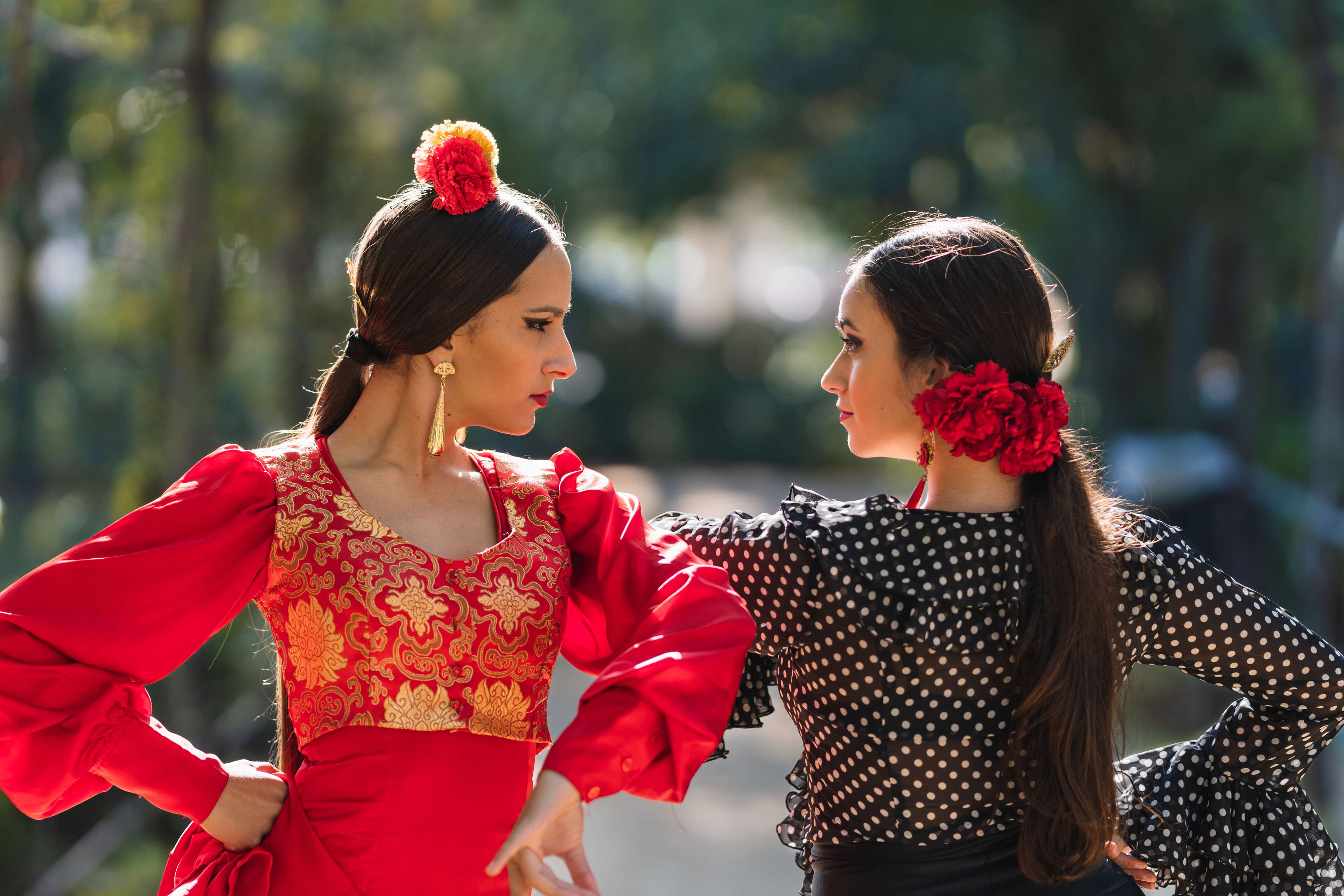 Traditional Flamenco Dancers
