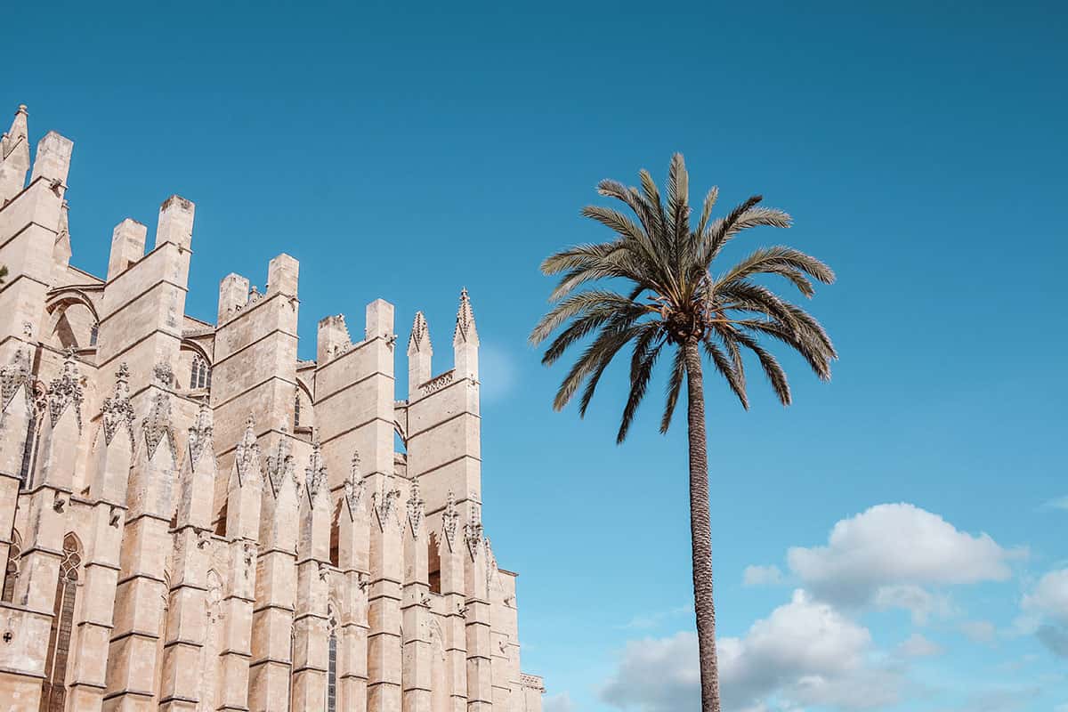 Palma cathedral by day