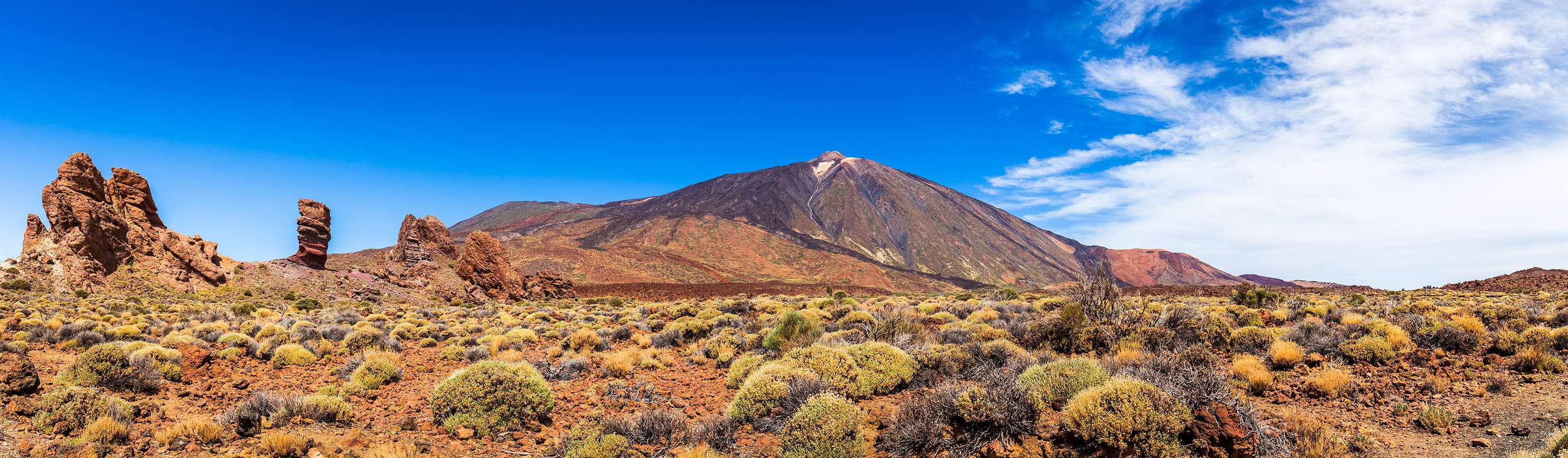 Scenic Tenerife hillside
