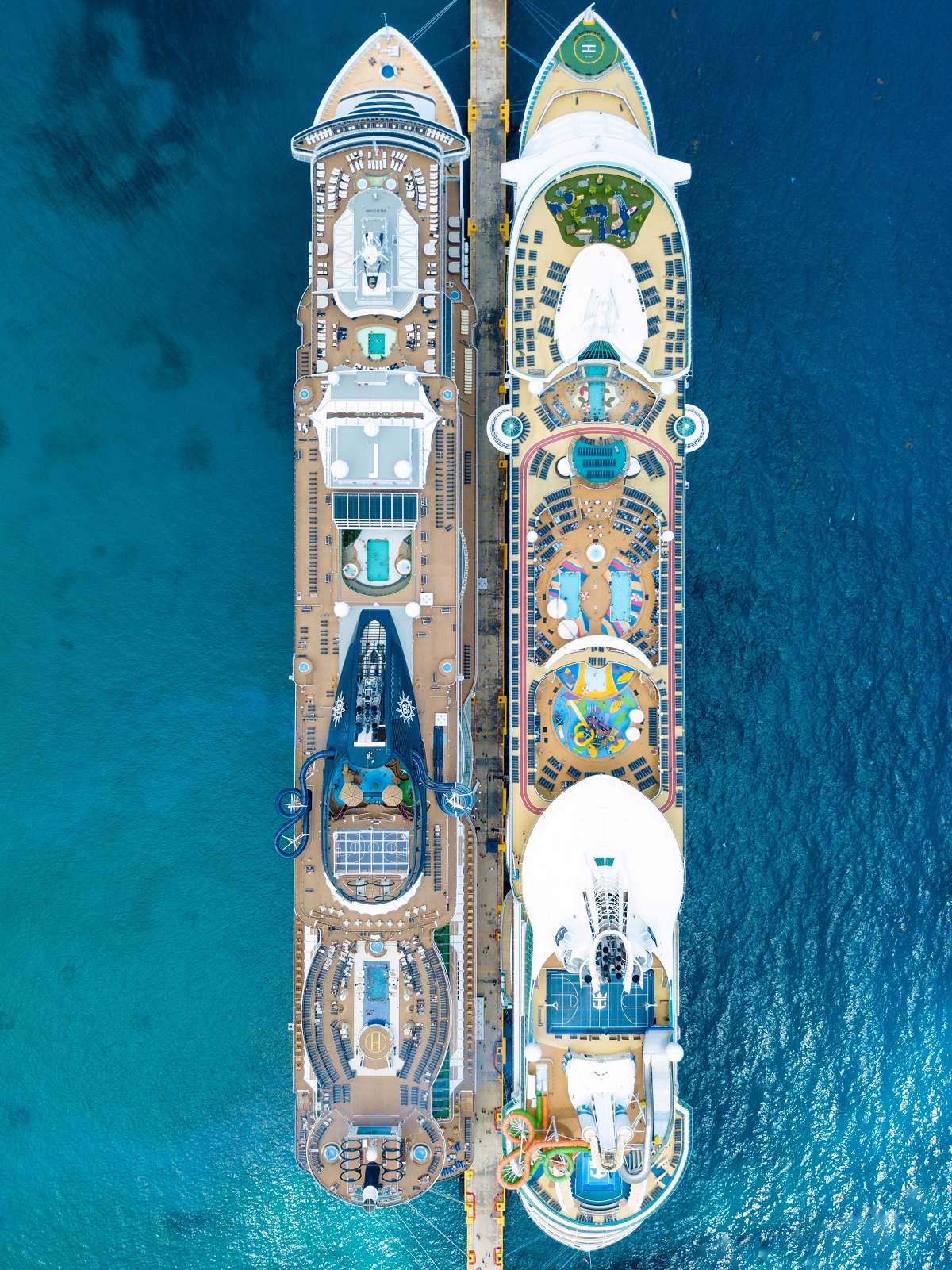Cruise Ships